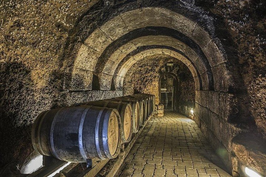 Exclusive Rioja Wine and Dining Experience from San Sebastian 4