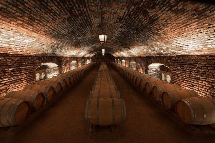 A wine cellar with rows of wooden barrels and brick walls. 2