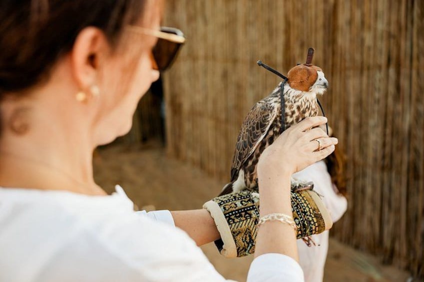 A person holding a bird of prey, possibly a falcon, with a wooden background. 2