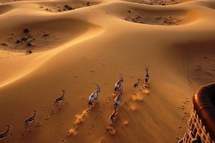 A desert landscape with sand dunes and a group of antelopes. 5