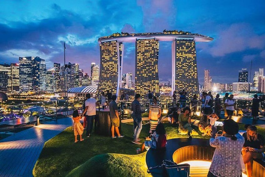 Gardens by the Bay Cloud Forest Flower Dome Options Supertree 2