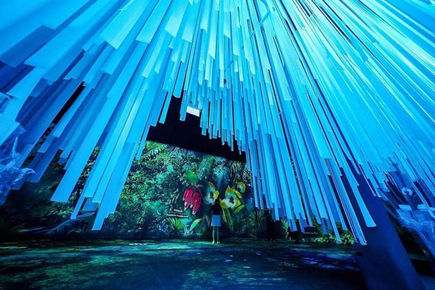 Gardens by the Bay Cloud Forest Flower Dome Options Supertree 4