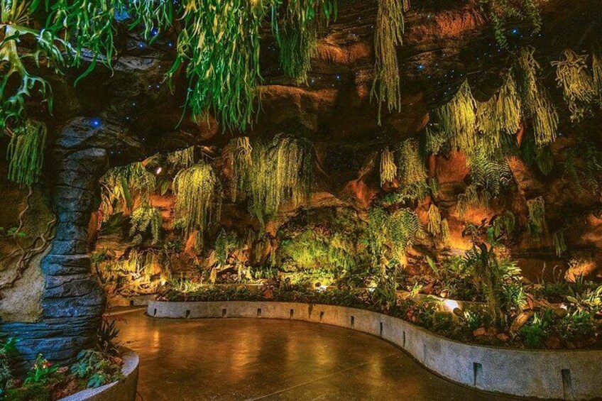 Gardens by the Bay Cloud Forest Flower Dome Options Supertree 5