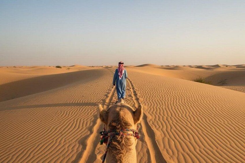 Dubai Sunset Desert Safari, sandboarding & camels with transfers 3