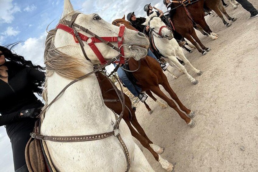 Cappadocia Horse Tour 5