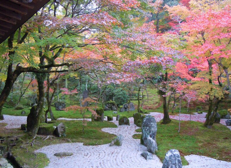 Picture 15 for Activity Fukuoka:Dazaifu,Yufuin Village,Beppu Ropeway,Kamado Jigoku 2