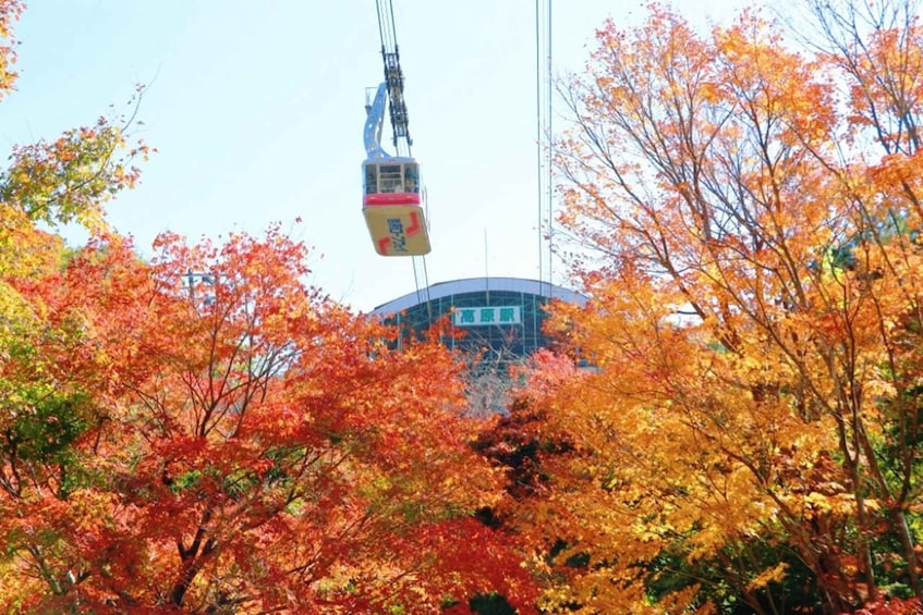 Picture 2 for Activity Fukuoka:Dazaifu,Yufuin Village,Beppu Ropeway,Kamado Jigoku 3
