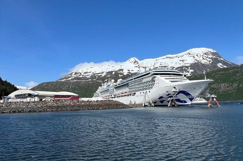 A cruise ship docked at a port with a snow-capped mountain in the background. 4