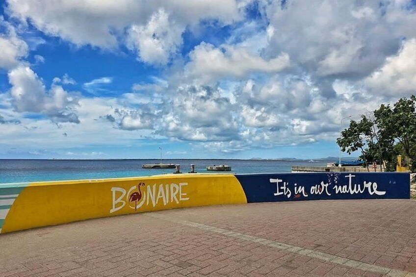 Ein gepflasterter Wegweiser mit einem gelb-blauen Schild, auf dem 'BONAIRE It's in our nature' steht. 2