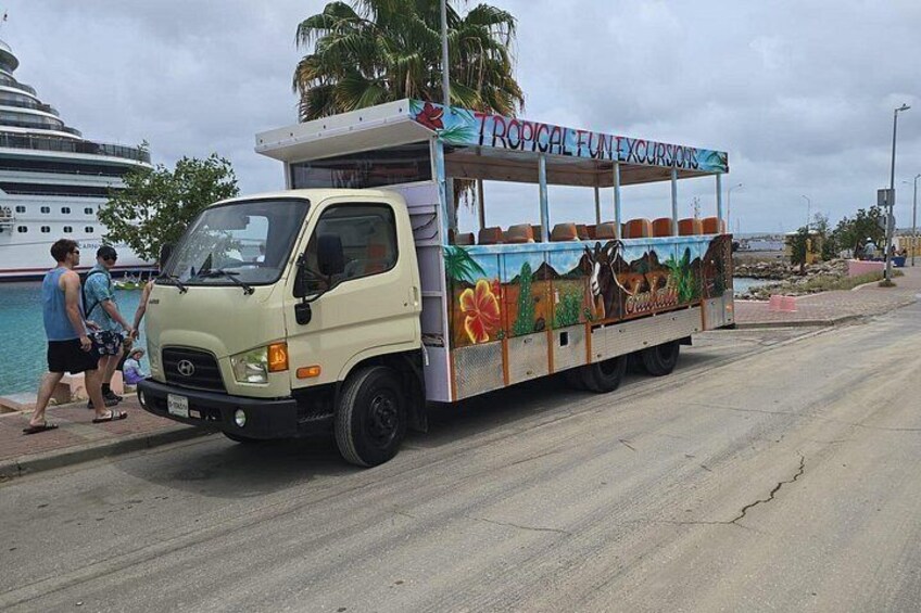 Ein bunter Bus mit der Aufschrift 'Tropical Fun Excursions', geparkt an einer Straße in der Nähe eines Gewässers, im Hintergrund ein Kreuzfahrtschiff. 1