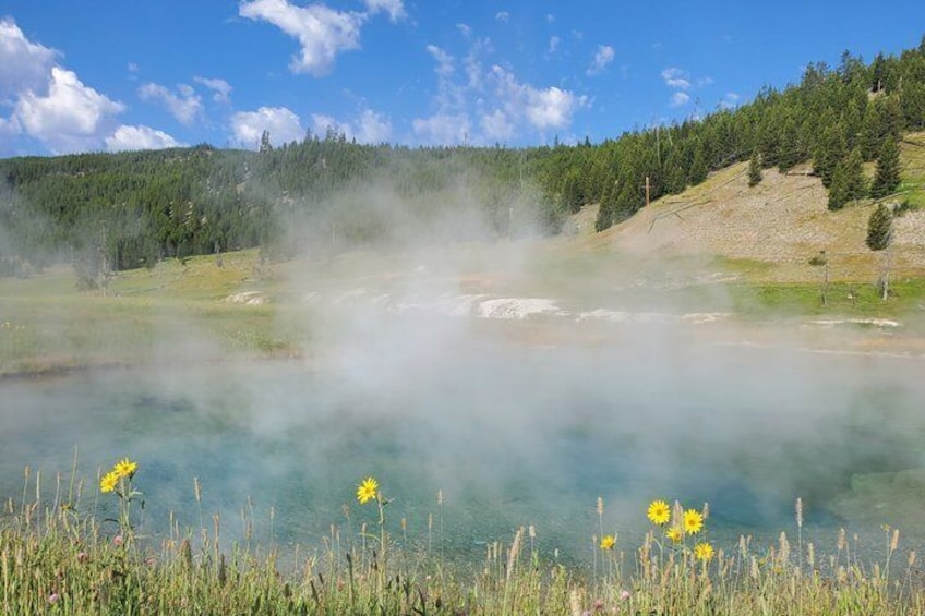 A geothermal area with steam rising from the ground, surrounded by green grass and yellow flowers. 4