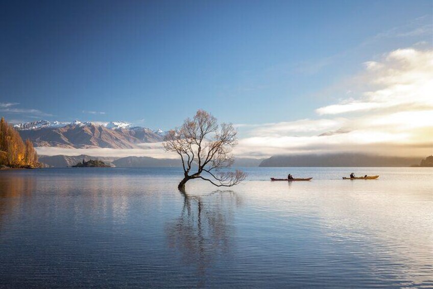 Un lago tranquilo con un solo árbol en el centro, dos kayaks en el agua y montañas al fondo. 5