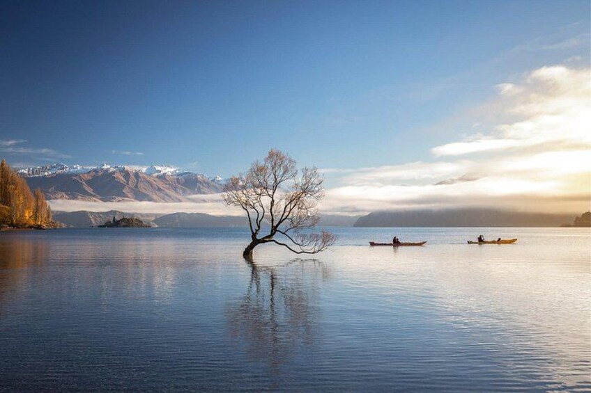 Lake Wanaka Roy's Bay Kayak Tour 5