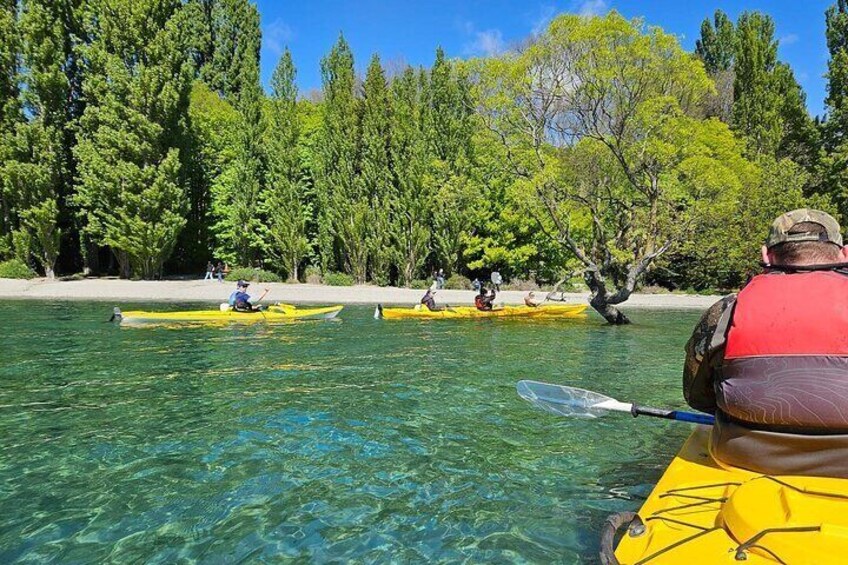 Remeros en kayaks amarillos en un río limpio rodeado de árboles. 3