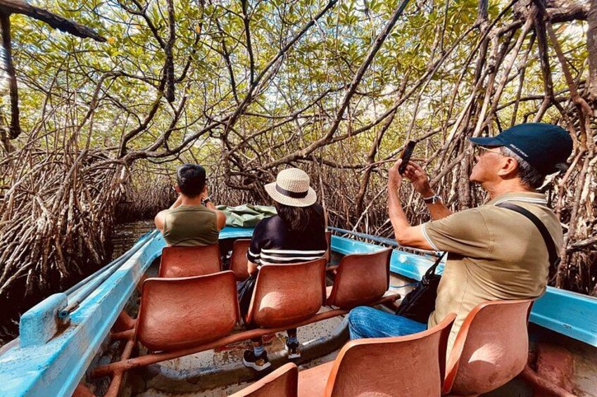 Madu river lagoon boat safari 4