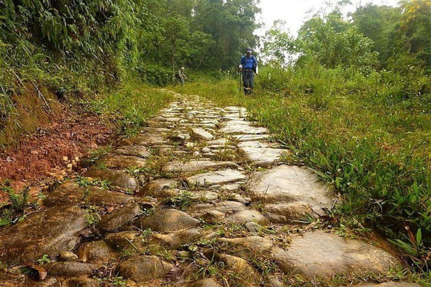 A stone pathway surrounded by lush greenery. 5