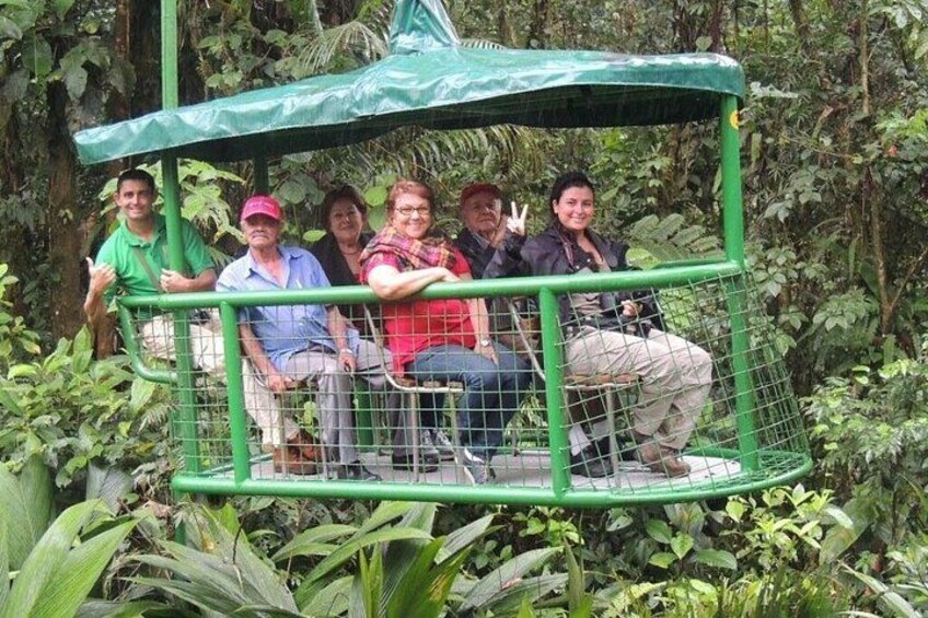 A group of people seated on a green metal structure surrounded by dense foliage. 2