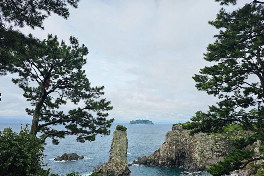 A coastal landscape with prominent rock formations and dense pine trees. 2