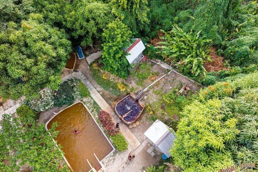 Vue aérienne d’un jardin avec un étang, un petit abri et une végétation luxuriante. 2