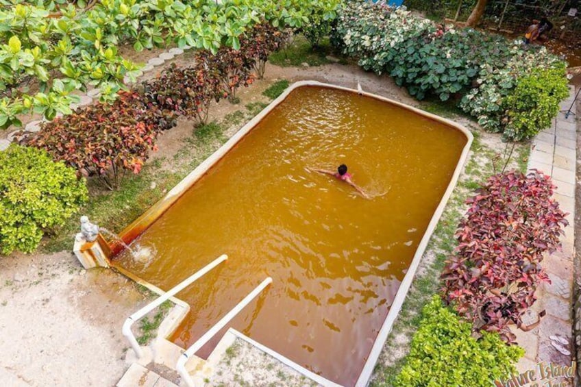 Une piscine rectangulaire où une personne nage, entourée d’une végétation luxuriante et d’une petite statue. 4