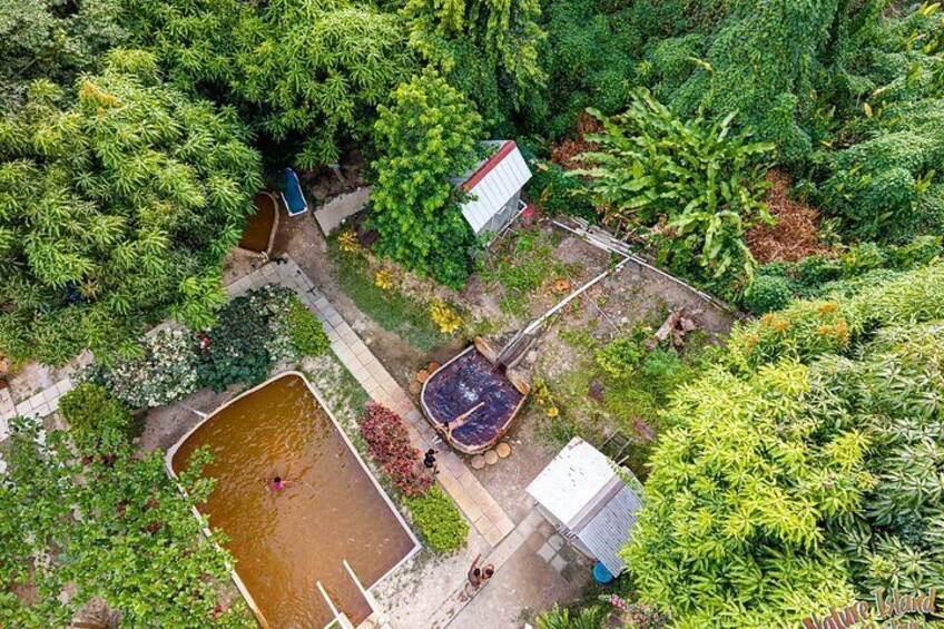 Une vue aérienne d’un jardin avec différentes plantes, un petit étang et un abri de jardin. 5