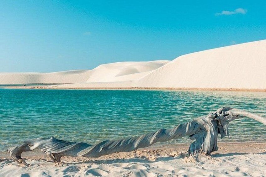 Unforgettable Blue Lagoon Tour 5