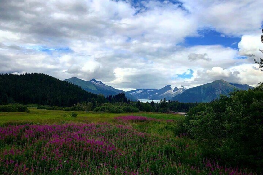 Juneau Shore Fishing and Glacier View Stop 1