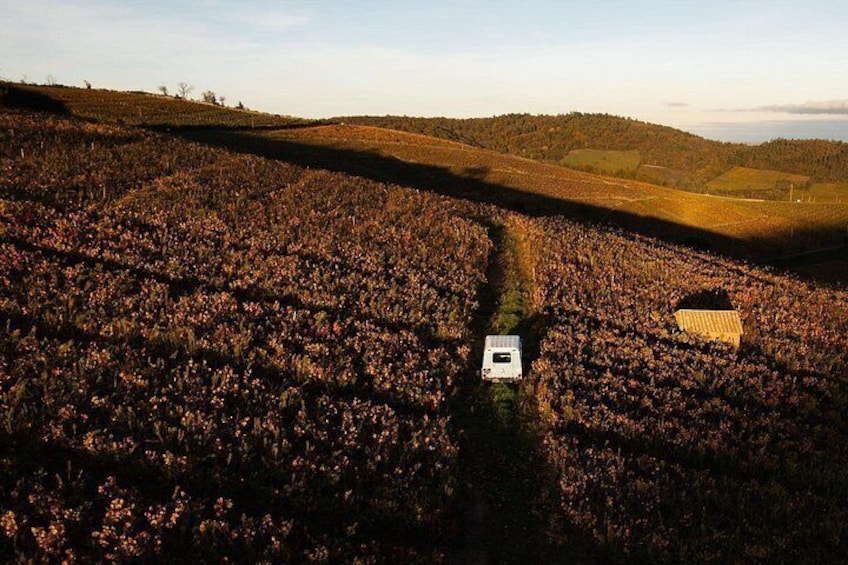 A vast field with a vehicle and a building. 3