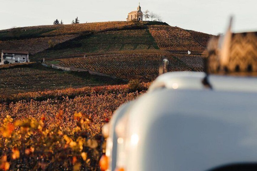 A vineyard with a hilltop building, a white house, and a blurred foreground object. 4