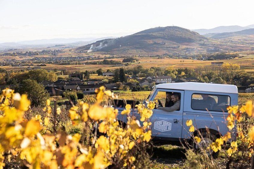 A vintage car driving through a field with yellow flowers and a hilly landscape in the background. 5
