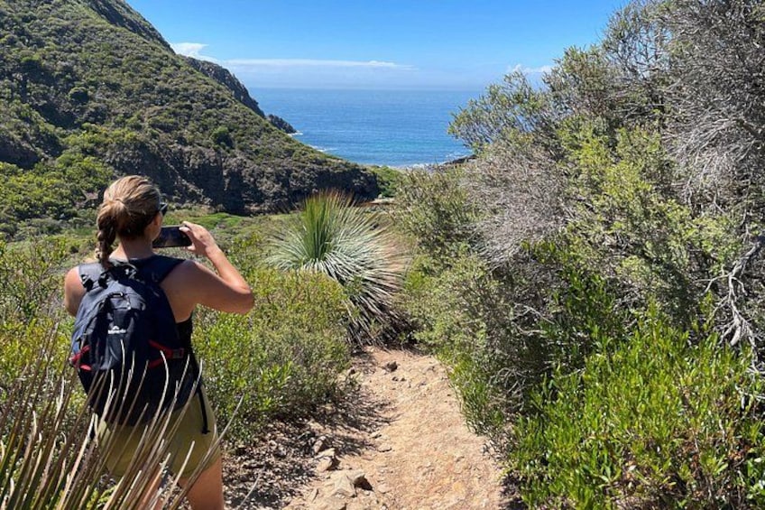 A person hiking on a dirt trail with a backpack, surrounded by greenery and overlooking a coastal view. 1