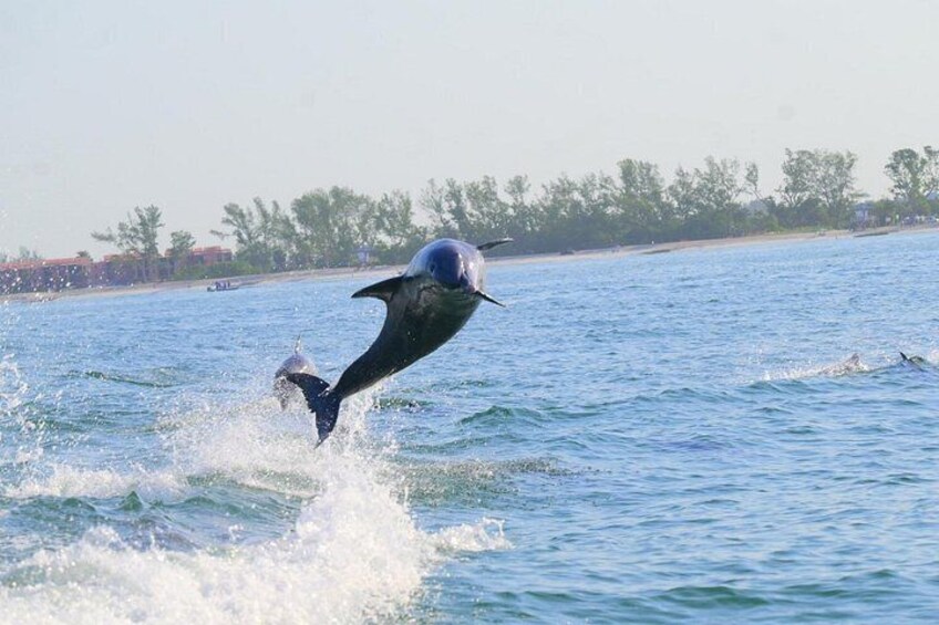 Private Egmont Key Excursion 3