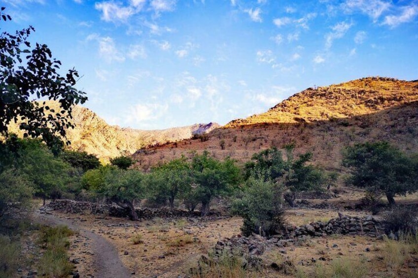 Eine karge, felsige Landschaft mit vereinzelter Vegetation und einem unbefestigten Pfad. 3
