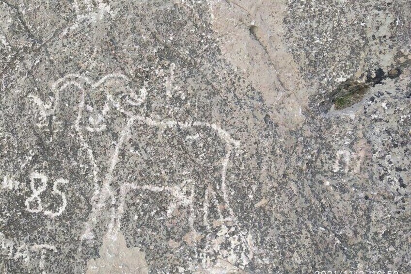 Eine Felsfläche mit alten Felszeichnungen, darunter eine Figur mit Stab und die Zahl '85'. 4