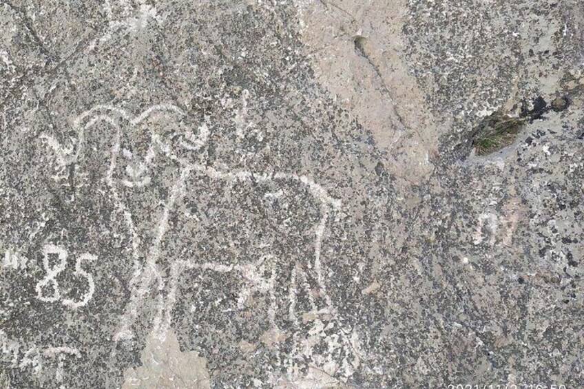 A satellite view of a landscape with a large, irregularly shaped area marked with the number '85' and a smaller area marked with '4'. 4