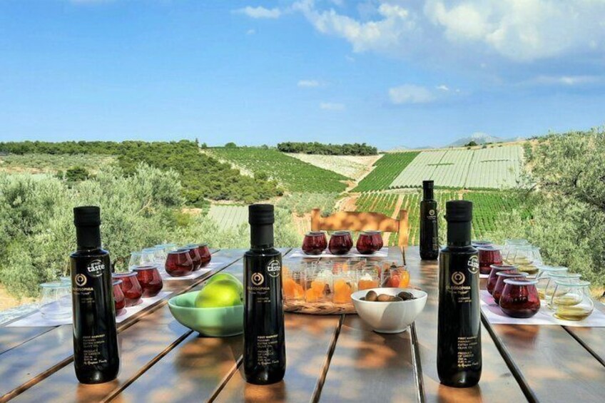 A table set outdoors with wine bottles, glasses, and fruits against a vineyard backdrop. 4