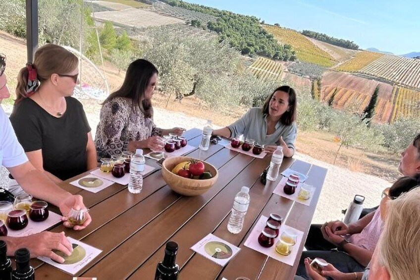 A group of people seated at a wooden table outdoors, with a view of vineyards in the background. 3