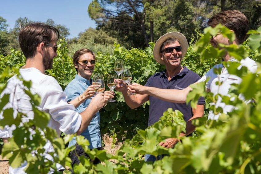 Rosé & Côtes de Provence Wine tour from Marseille 1