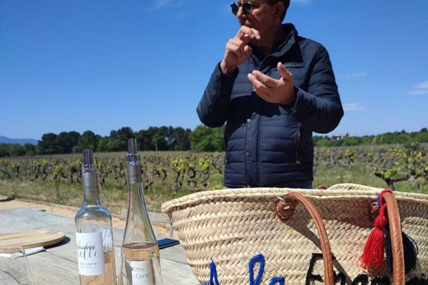 Rosé & Côtes de Provence Wine tour from Marseille 3