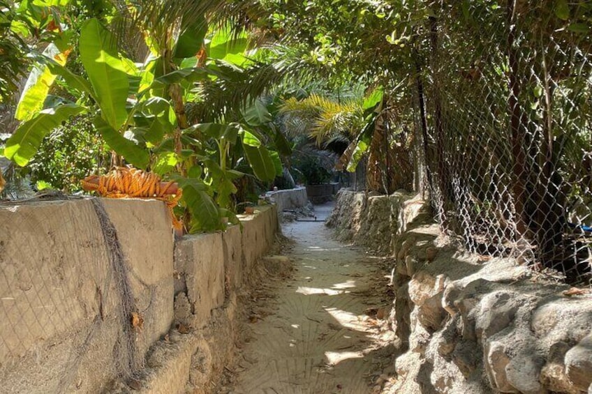 Experience Beach Camping Explore Wadi Shab Mibam 2 day BBQ Guided 3