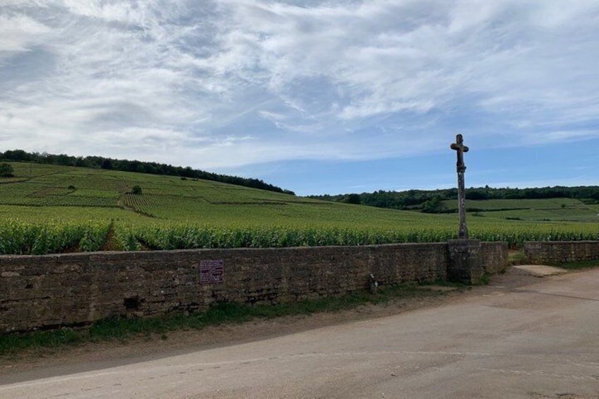 From Dijon : Morning Côte de Nuits and tasting 2