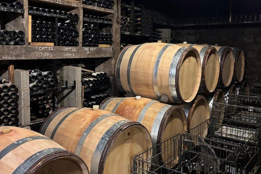 From Dijon : Morning Côte de Nuits and tasting 2