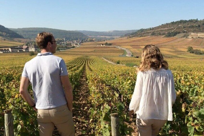 From Dijon : Morning Côte de Nuits and tasting 2