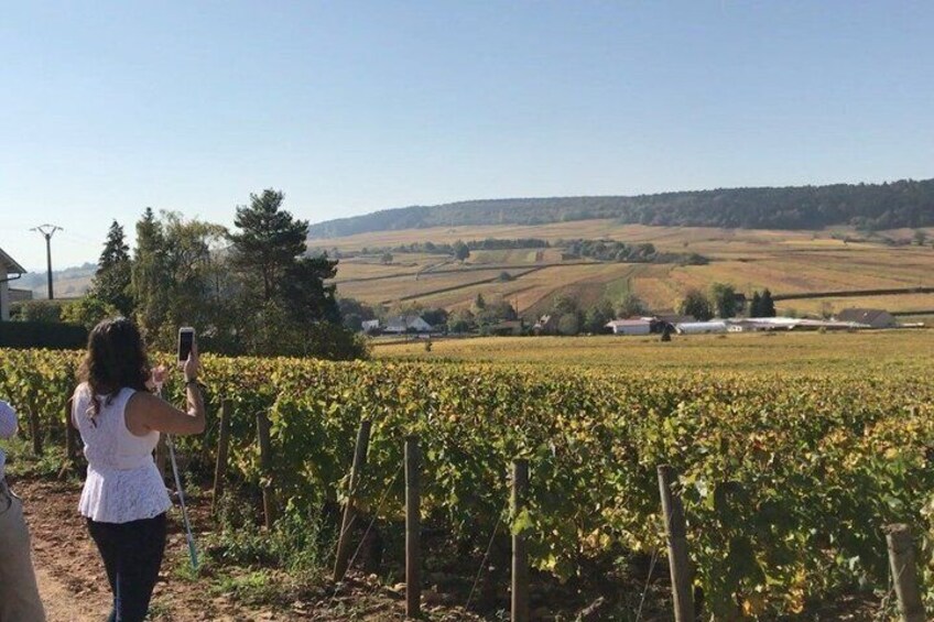 From Dijon : Morning Côte de Nuits and tasting 2