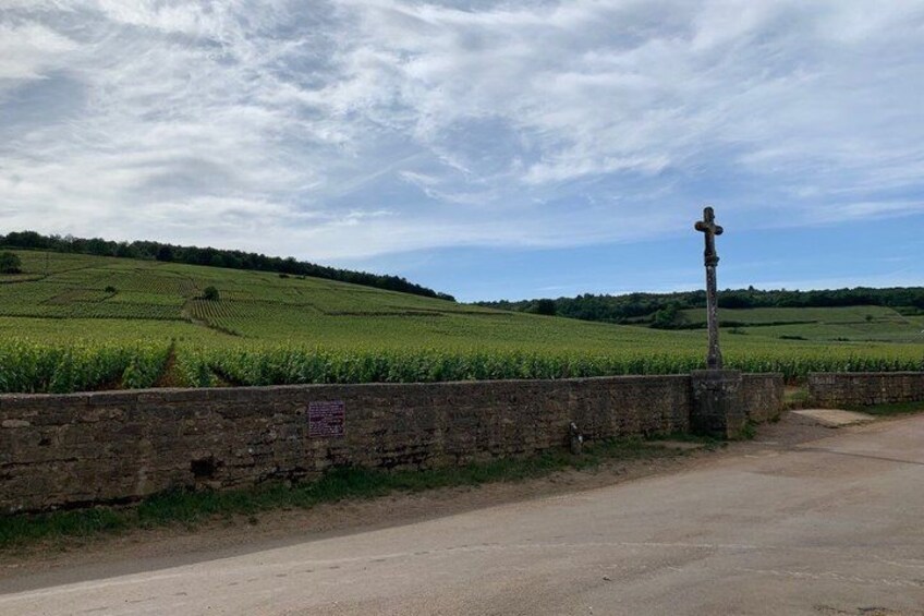 From Dijon : Morning Côte de Nuits and tasting 2