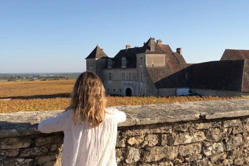 From Dijon : Morning Côte de Nuits and tasting 1