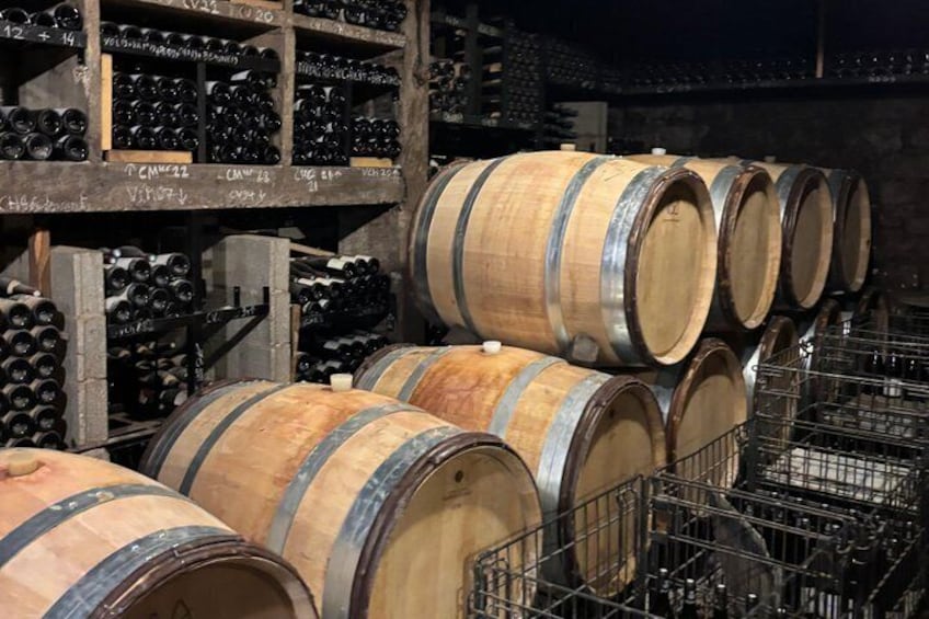 From Dijon : Morning Côte de Nuits and tasting 3