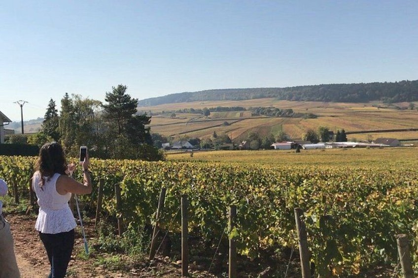 From Dijon : Morning Côte de Nuits and tasting 3