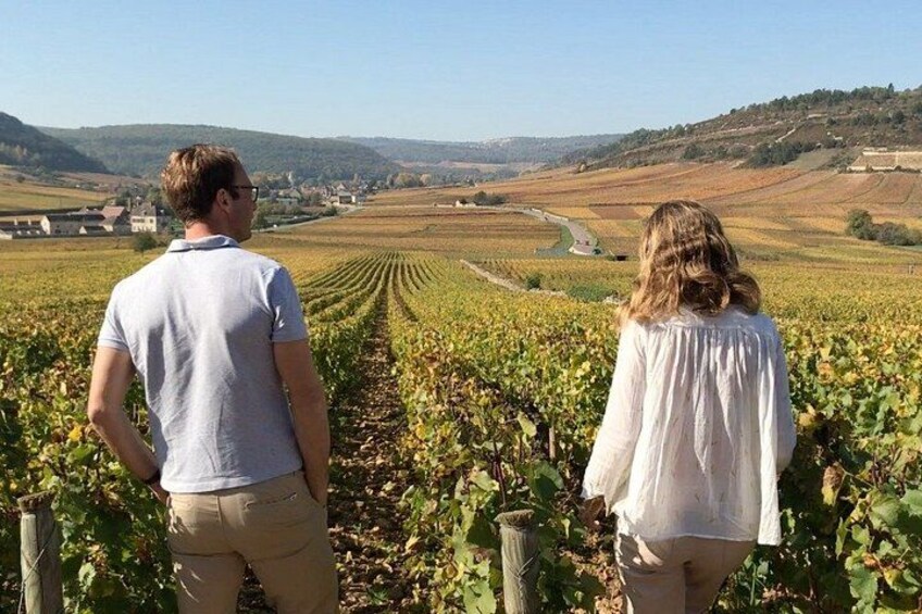 From Dijon : Morning Côte de Nuits and tasting 2