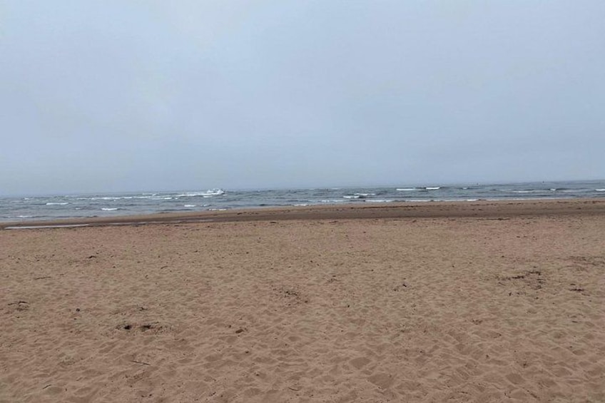A sandy beach with the ocean in the background. 5